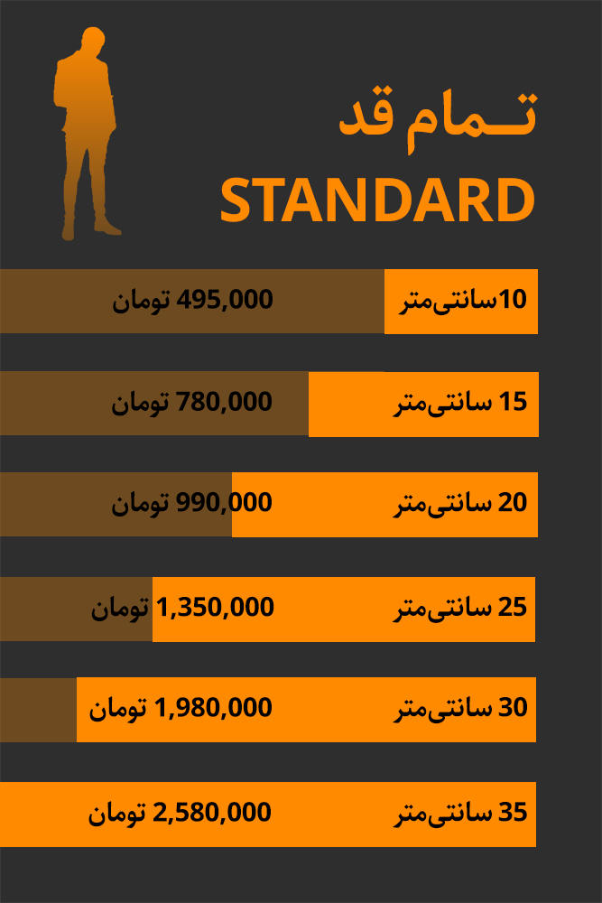 standard 360 مجسمه تمام رنگی سه بعدی