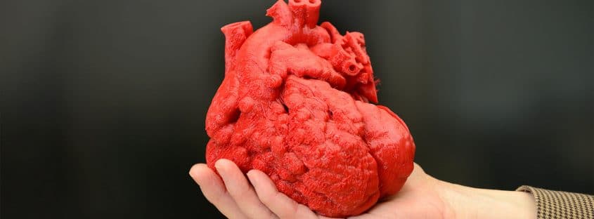 پرینت سه بعدی قلب