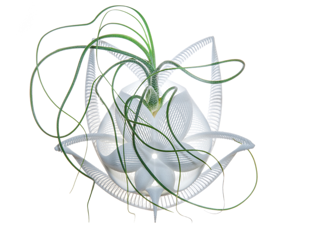 نمونه ای از گلدان پرینت سه بعدی معلق 