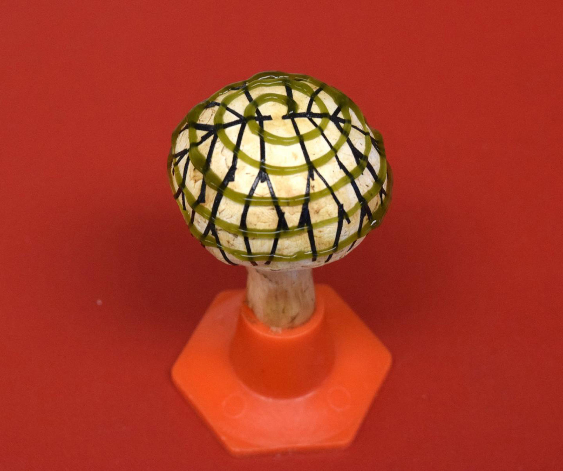 پرینتر سه بعدی و سیانوباکتری‌ها روشی برای تولید برق تحت پوشش قارچ بیونیک